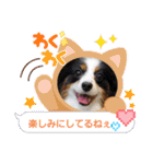 めんこい～ズ（個別スタンプ：39）