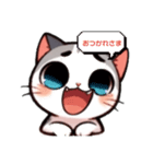 毎日使える♡ねこのハルちゃん（個別スタンプ：3）