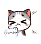 毎日使える♡ねこのハルちゃん（個別スタンプ：10）