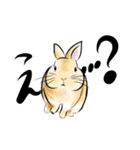 ネザーうさぎのいる暮らし（個別スタンプ：4）