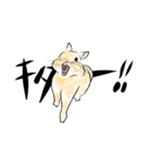 ネザーうさぎのいる暮らし（個別スタンプ：5）