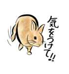 ネザーうさぎのいる暮らし（個別スタンプ：11）