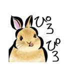 ネザーうさぎのいる暮らし（個別スタンプ：13）