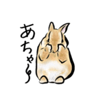 ネザーうさぎのいる暮らし（個別スタンプ：15）