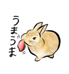ネザーうさぎのいる暮らし（個別スタンプ：16）