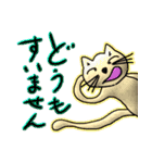 なんちゃて、ねこの日（個別スタンプ：1）