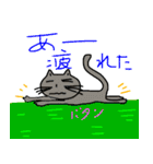 なんちゃて、ねこの日（個別スタンプ：17）