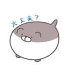 ねちすけなかま（個別スタンプ：16）