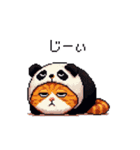 パンダな太っちょ茶トラ（個別スタンプ：2）