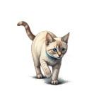 この惑星を支配する猫_silent（個別スタンプ：1）