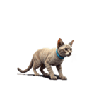 この惑星を支配する猫_silent（個別スタンプ：6）