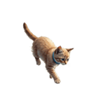 この惑星を支配する猫_silent（個別スタンプ：19）