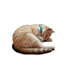 この惑星を支配する猫_silent（個別スタンプ：21）