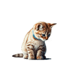 この惑星を支配する猫_silent（個別スタンプ：22）