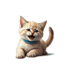この惑星を支配する猫_silent（個別スタンプ：24）