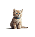 この惑星を支配する猫_silent（個別スタンプ：27）