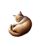 この惑星を支配する猫_silent（個別スタンプ：31）