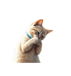 この惑星を支配する猫_silent（個別スタンプ：38）