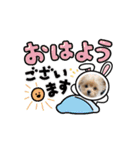 ぽめぷーのぷぷ1（個別スタンプ：12）