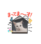 猫の子うーちゃんねるスタンプ2（個別スタンプ：13）