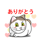 表情豊かなユニーク猫にゃんのスタンプ7（個別スタンプ：5）