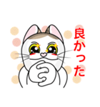 表情豊かなユニーク猫にゃんのスタンプ7（個別スタンプ：13）