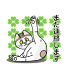 表情豊かなユニーク猫にゃんのスタンプ7（個別スタンプ：19）