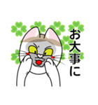 表情豊かなユニーク猫にゃんのスタンプ7（個別スタンプ：20）