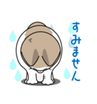 表情豊かなユニーク猫にゃんのスタンプ7（個別スタンプ：23）