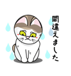 表情豊かなユニーク猫にゃんのスタンプ7（個別スタンプ：24）