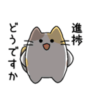 プログラマねこちゃん（個別スタンプ：1）