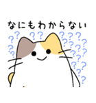 プログラマねこちゃん（個別スタンプ：7）