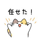 プログラマねこちゃん（個別スタンプ：19）