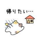 プログラマねこちゃん（個別スタンプ：29）