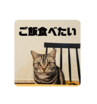 ごぎげんサンバ（個別スタンプ：29）