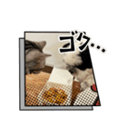 ごぎげんサンバ（個別スタンプ：30）