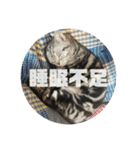 ごぎげんサンバ（個別スタンプ：38）