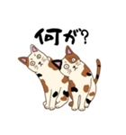 ぶち猫ニャンニャン（個別スタンプ：3）