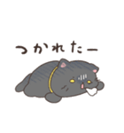 ソラねこもよう 黒猫ゴロゴロ（個別スタンプ：19）