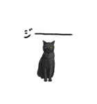 気ままに暮らす黒猫（個別スタンプ：5）