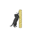 気ままに暮らす黒猫（個別スタンプ：8）