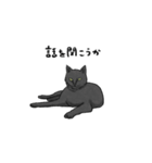 気ままに暮らす黒猫（個別スタンプ：11）