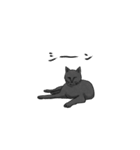 気ままに暮らす黒猫（個別スタンプ：12）