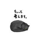 気ままに暮らす黒猫（個別スタンプ：16）
