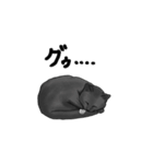 気ままに暮らす黒猫（個別スタンプ：17）