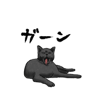 気ままに暮らす黒猫（個別スタンプ：18）