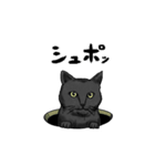 気ままに暮らす黒猫（個別スタンプ：24）