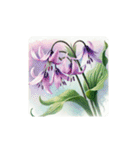 water-color flowers（個別スタンプ：6）