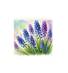 water-color flowers（個別スタンプ：11）