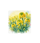 water-color flowers（個別スタンプ：12）